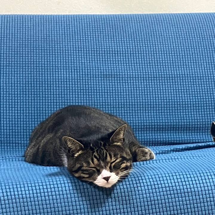 80444d2e bc0d 446d 9a15 839399891166 1758846909770