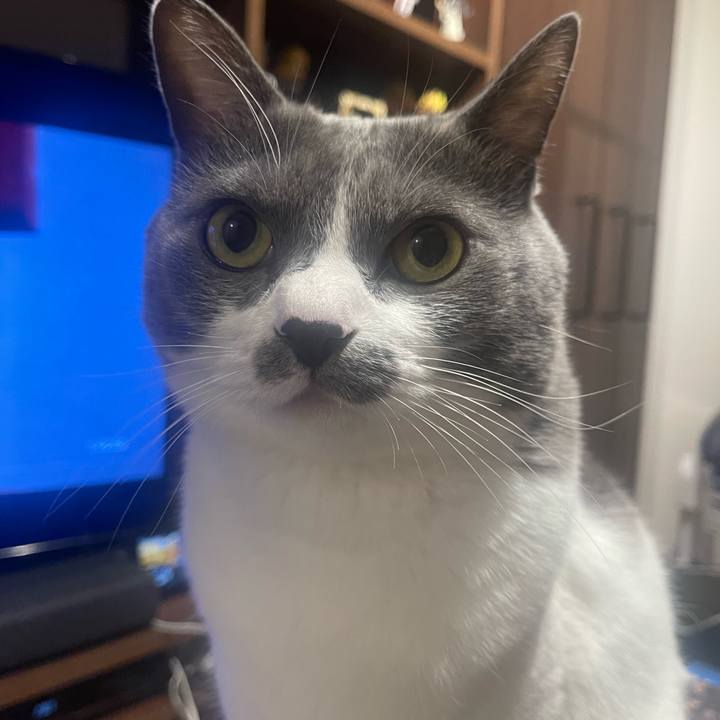 80445048 1c85 4036 b387 c0945e642714 1699452473064