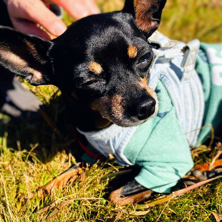 80445d85 dc7a 43ea ad5e c3fed98a8d1a 1764389298095