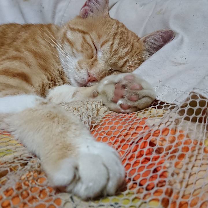 80445e2e 39e5 44c7 9a73 d68ac13c8f89 1562503984068