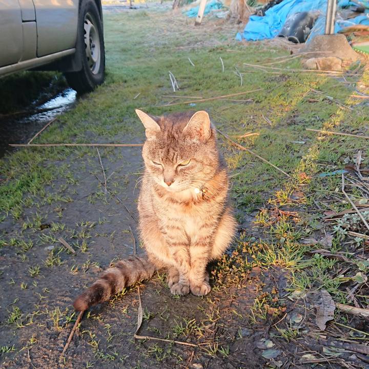 804482d7 cf14 49ae 817e bd15b4f2961c 1583272339493