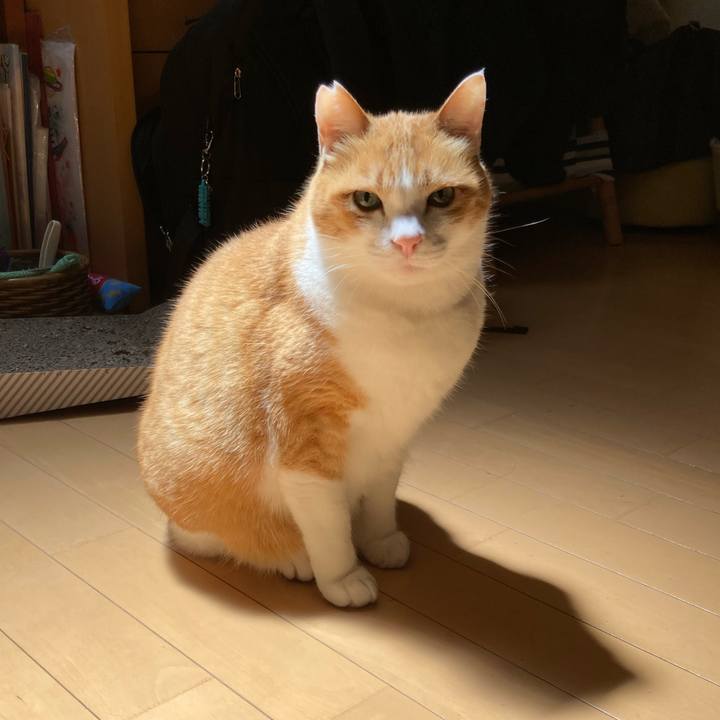 8044957c b2aa 4f53 b442 51ce6f04039d 1753344461932