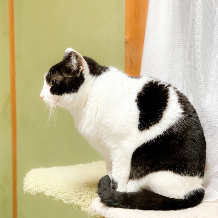 80449ece b656 4f82 b47d 06163312509a 1590544438123