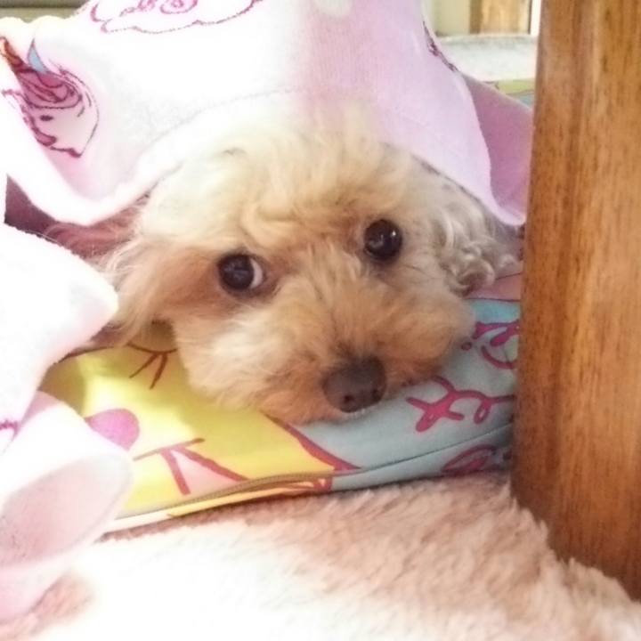 8044b904 723c 4b58 8b38 5570b7950db5 1560578528387