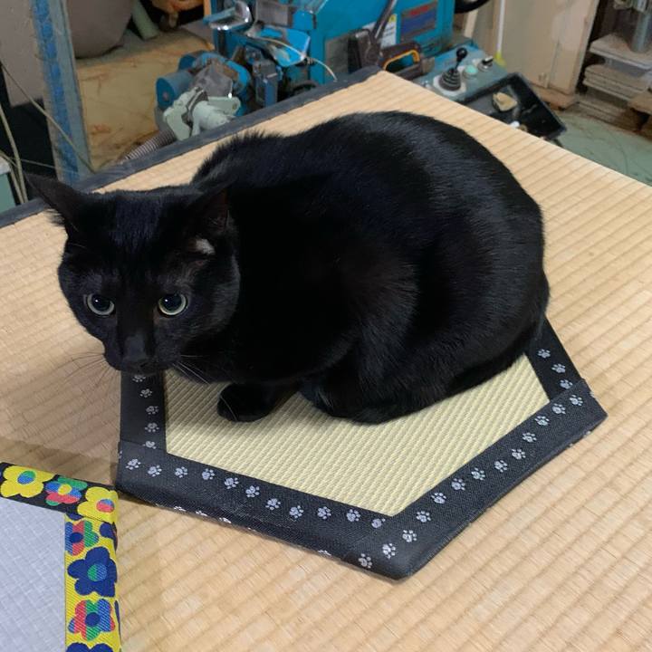 8044c306 8e98 4211 be58 f2bdb52c992e 1611396188265