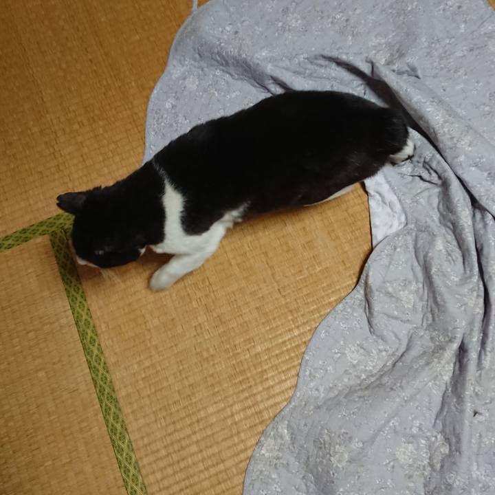 8045302a 89a9 488e a03e e1757a4d9fba 1615936550775