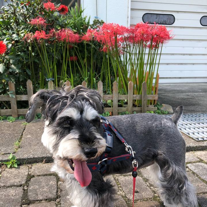 80453379 5d35 43fa 9778 07b807827e1a 1632361281222