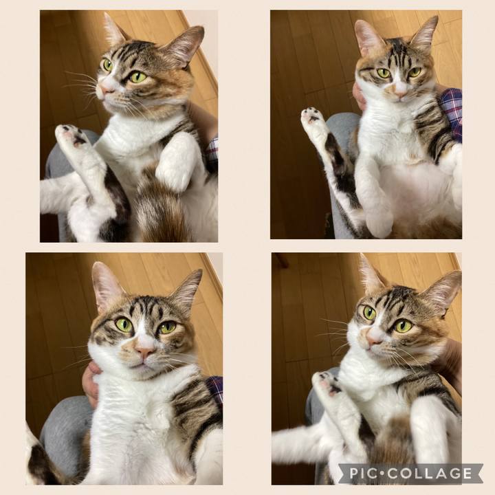 80453a59 044d 406c 86da 67ab758e563c 1682830356985