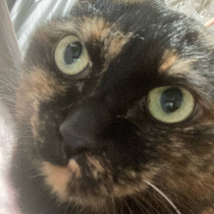 80453f47 765e 4966 83b3 cc8d59fa3ee0 1672617821963