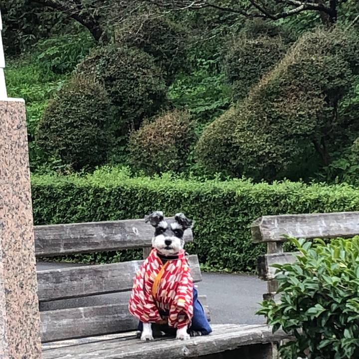 80453f80 e668 4a3b 8b23 5bbd965e83db 1665355818696