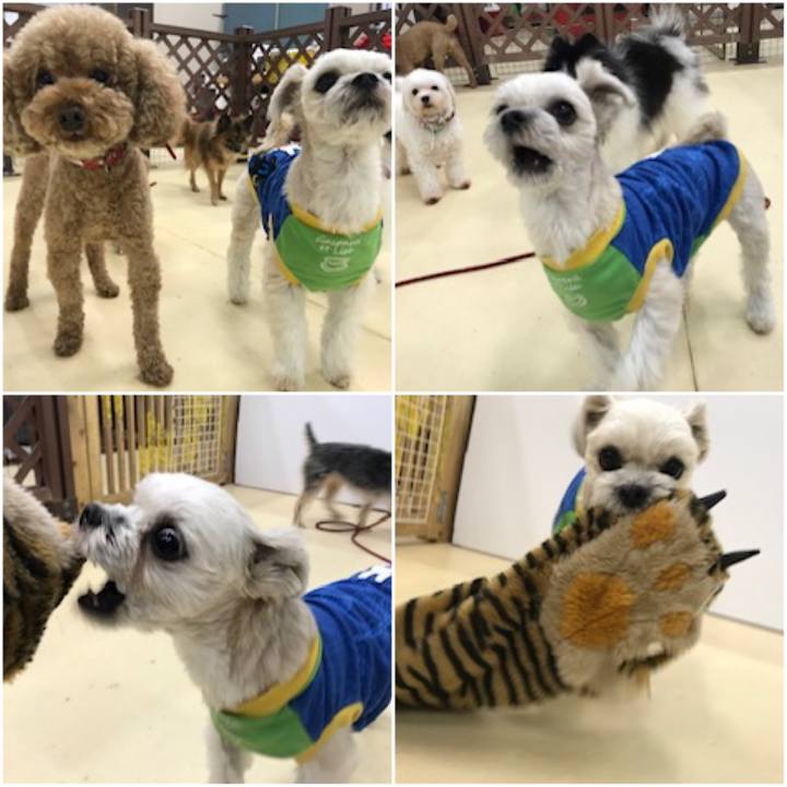 804540f9 2bd2 4948 9a78 a1ffc55088c9 1544699949771