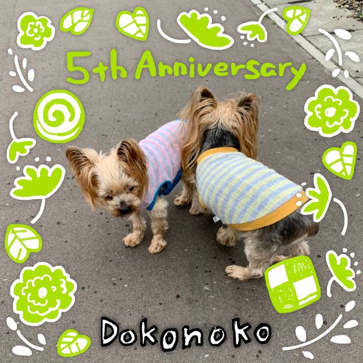 8045bdb1 d194 4c9a 8227 c3abc70ea5ce 1623064117380