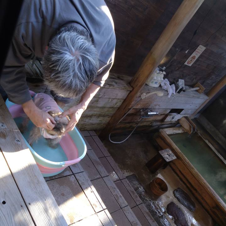 80462b6a 9228 49b6 86dd 19e72f33a0f6 1703375858165