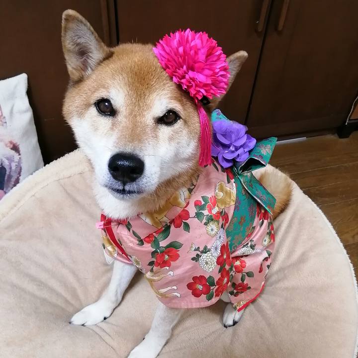 804633f7 21c5 4e42 ba86 fedaf65022c3 1694151381081