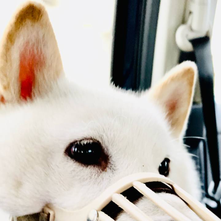 804637aa 7080 469d aa88 911f9297a16f 1653785660757