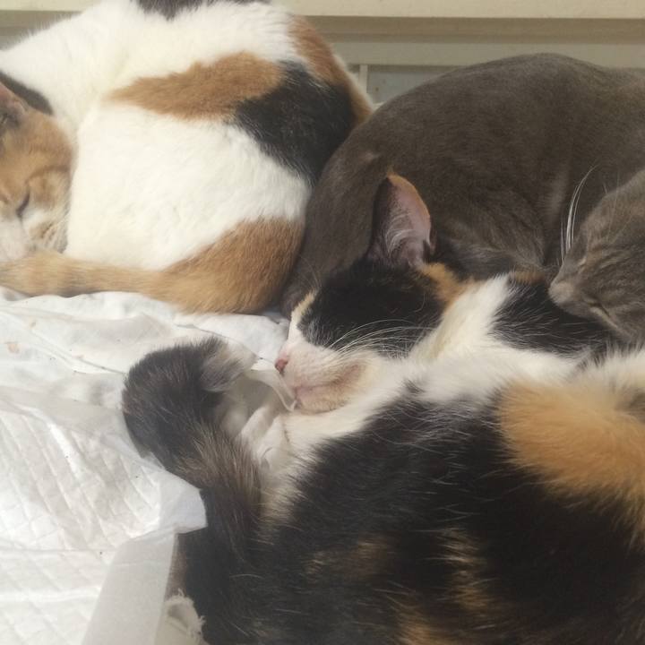 80464020 6e04 4efd 8cc5 1f9777960590 1552897427272