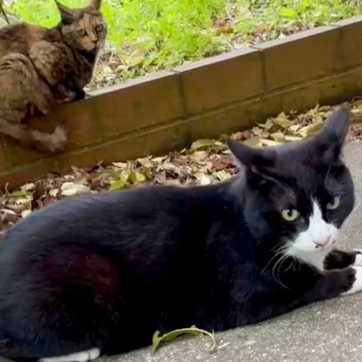 80466215 4a61 426b a3a5 5f86288a204e 1744250313704