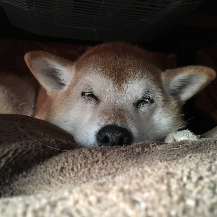 80466d76 889f 477c 9bf9 f645c0607478 1518144631211