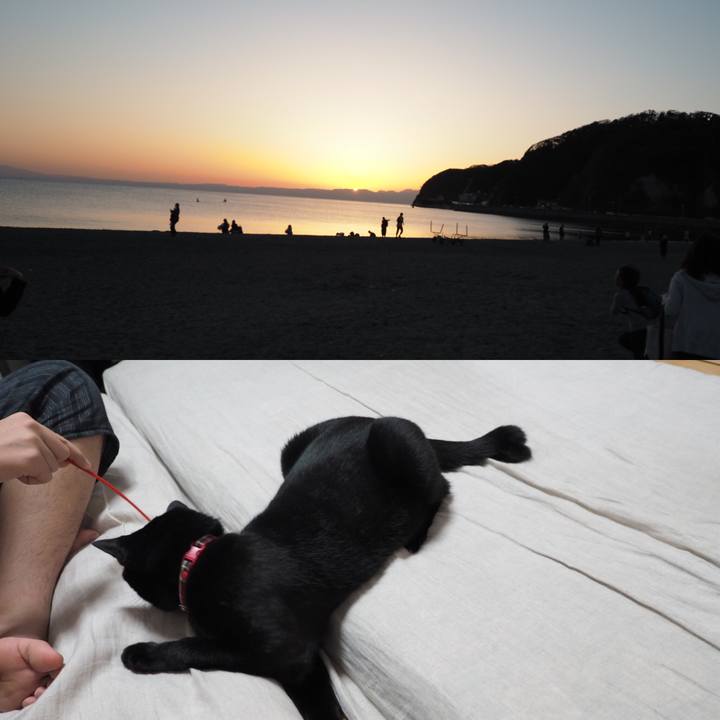 80466f15 98af 4460 b5fe 3e4cee9e8941 1540216297184