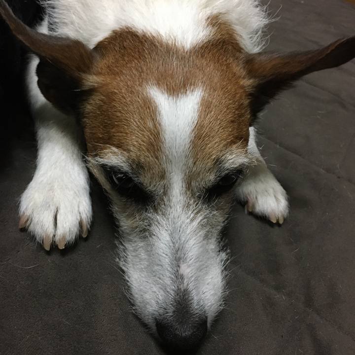 80469976 42f5 4d60 b33e a3f450e4dc98 1586994172507