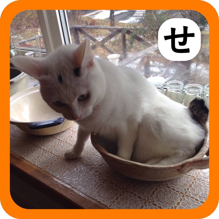 8046ab8e 9f3d 4c48 9fac fc75c6afc1b6 1515052346194