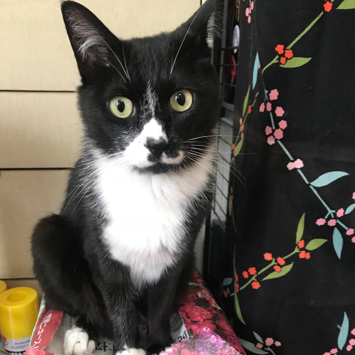 8046c81b 63e1 4c64 9ee0 8e9ccc42bef3 1626665979594