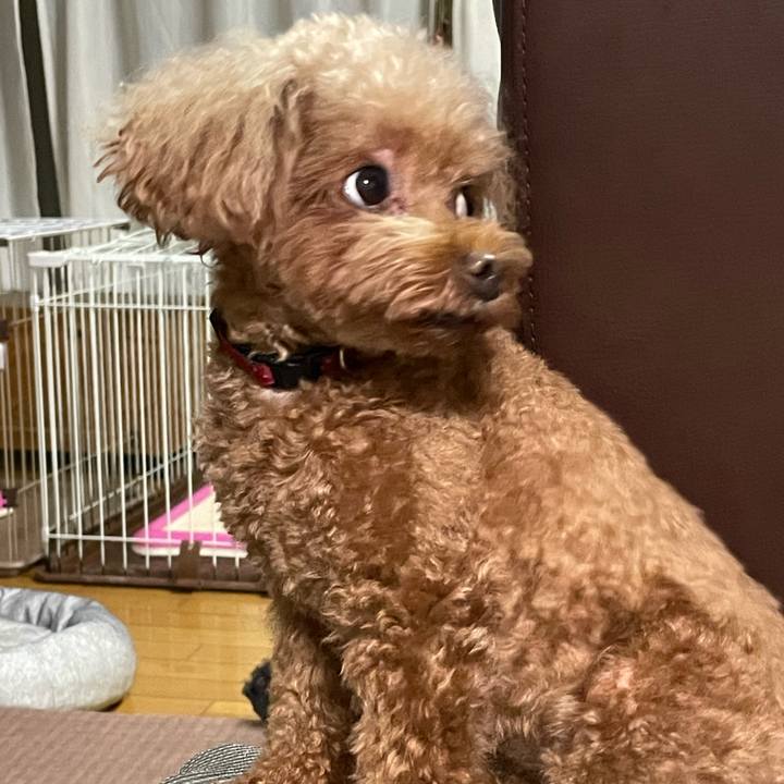 8046c882 e4ba 4c1a aa80 a85514e3f300 1695533320616