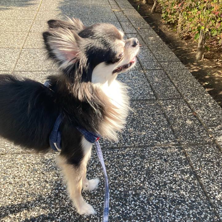 8046fd99 b3ca 406a 98f2 ed206a02fce2 1635910675998