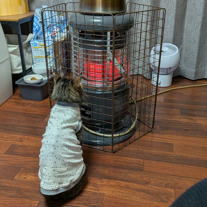 804718b7 1db3 4e80 a4cd 597f8b1ba94a 1767951327829