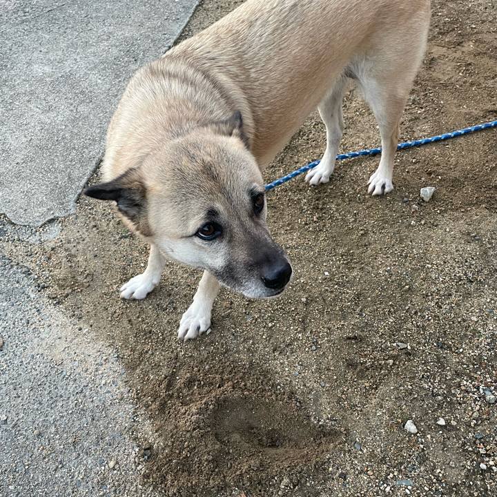 8047190f 81e0 4afb 94db b8274a02bd7b 1643369327555