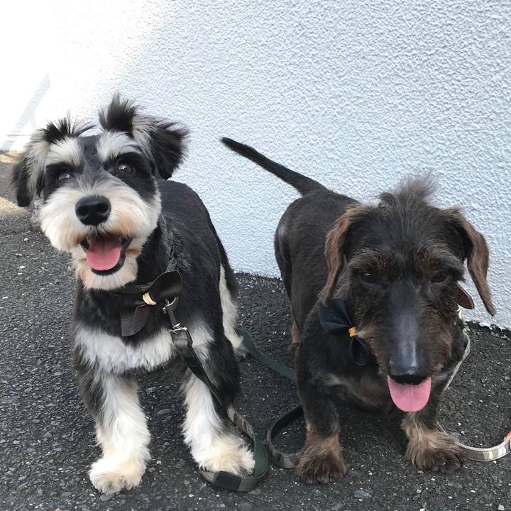 80471f4c 5931 40af 82e4 d41957149de9 1558791634156