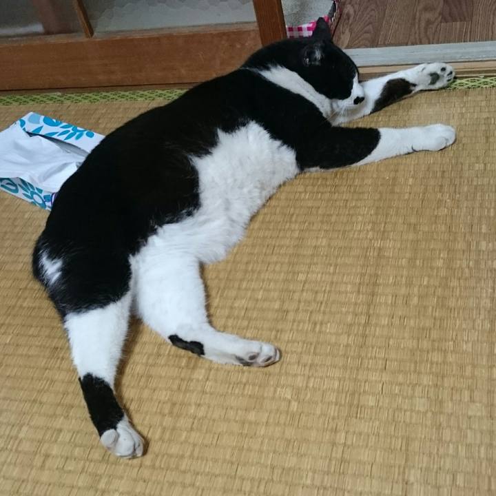 804720b7 2512 47e0 99d7 8d9c2975fd26 1525078147386