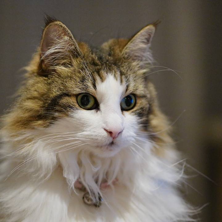 80476cf3 6aa5 40d9 a113 a3138a7ecb36 1687002635816