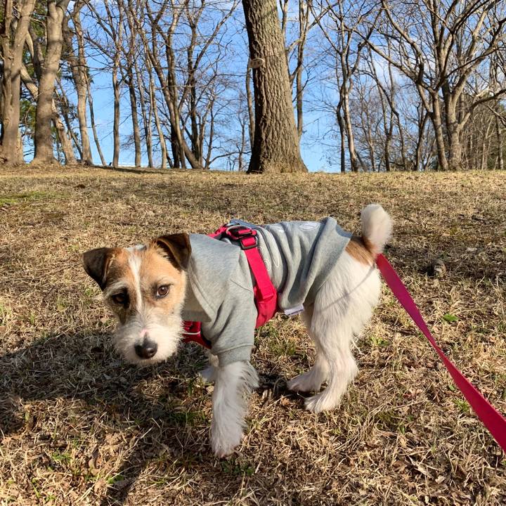 80477ed4 37e1 4838 9e65 2dff25df0491 1584441450658