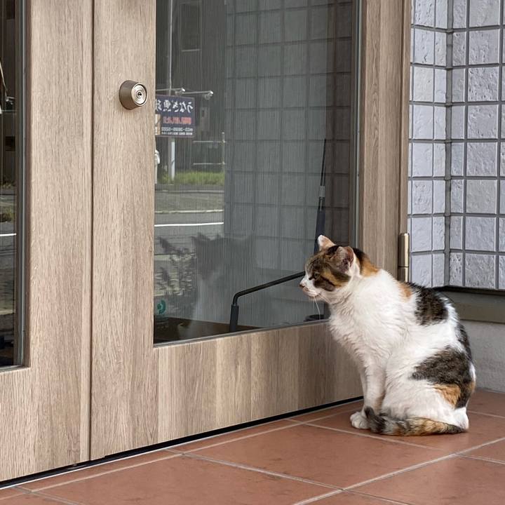 80478995 6c4a 41e7 a3ff a670c1343430 1666516050825