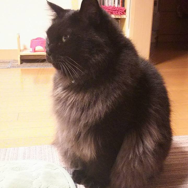 80479788 676f 41b6 a87f 2d64048e86a3 1509021829247