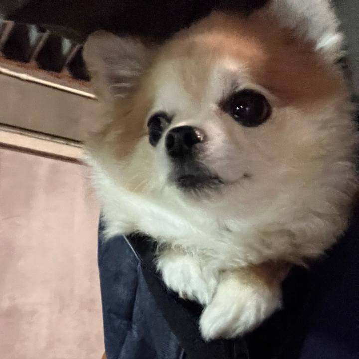 8047acde ef79 482f 86cc a55bf53d95e3 1762514886983