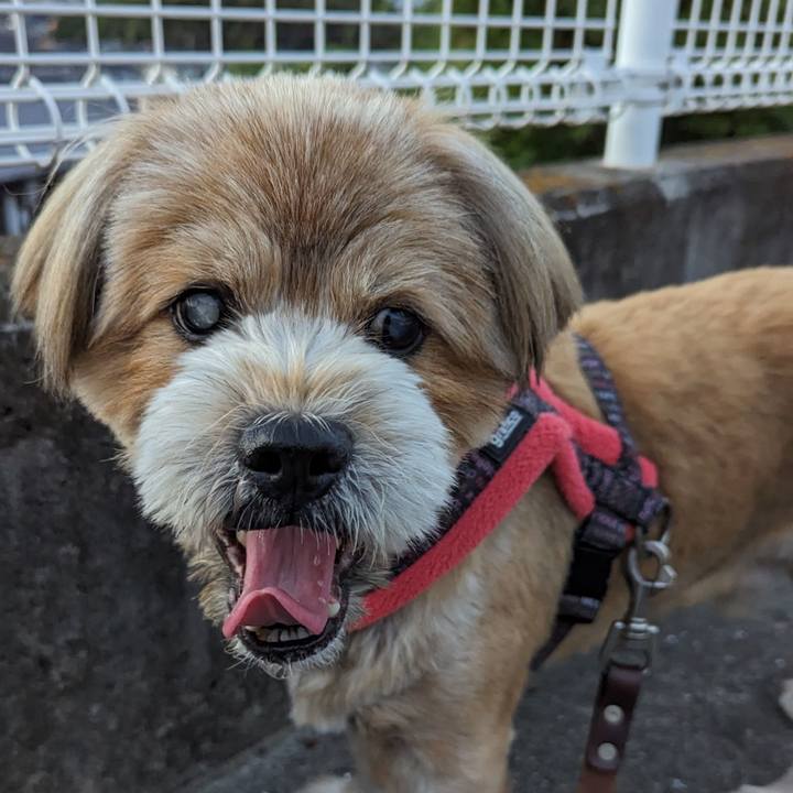 8047c11b dd42 4c96 902b 8f7ecb719d4b 1693217665080