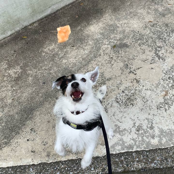 8047e6a6 9bc6 4cc0 82a8 92dbd34afb1e 1750032292928