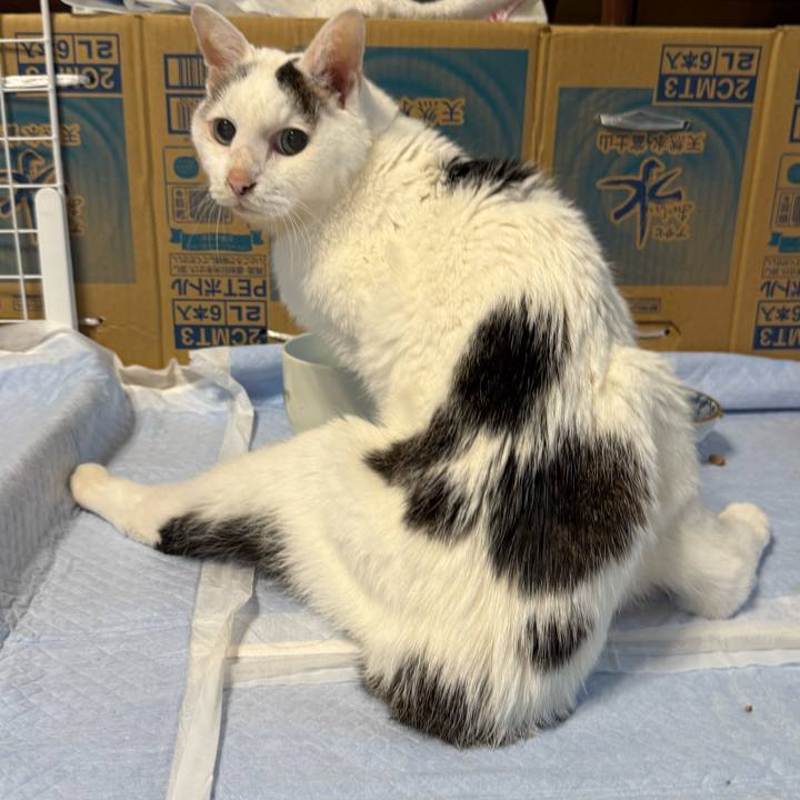 8047f4f1 5eb7 4025 a657 8c12970d0454 1760929058725