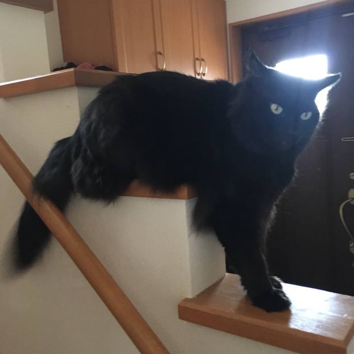 80480dea cc36 41b7 9b8d 75eaab1e693c 1525762142343