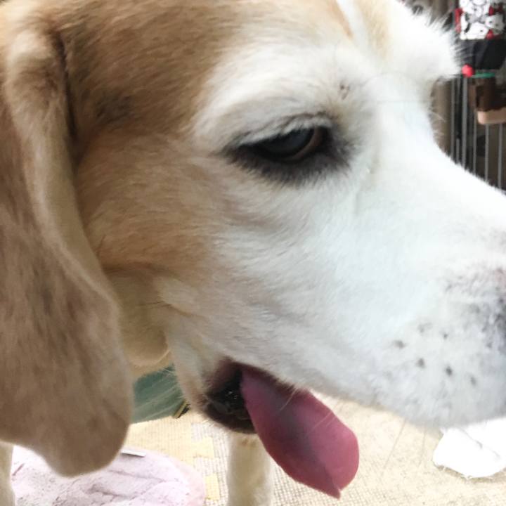 80483232 8d9e 4546 b041 92dccbe8d5aa 1571120419329