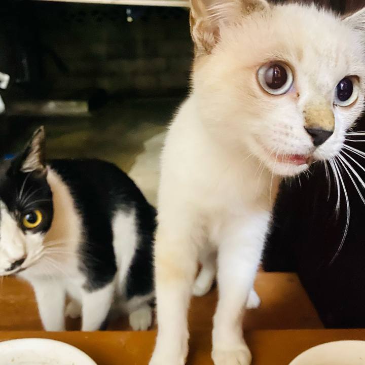 8048399e 6cb9 4f4a a562 1a102475c512 1662411449969