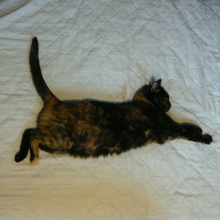 80483ff5 92d0 47ea a750 37a3bf4f9d2b 1564730250423