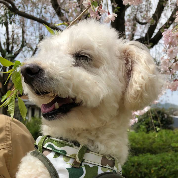 80485f97 ace6 4aba a924 295c7954e1a9 1523194004883