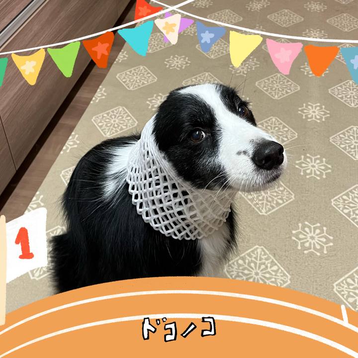 80489579 e272 458a af3a fe33efc47f35 1761620343043