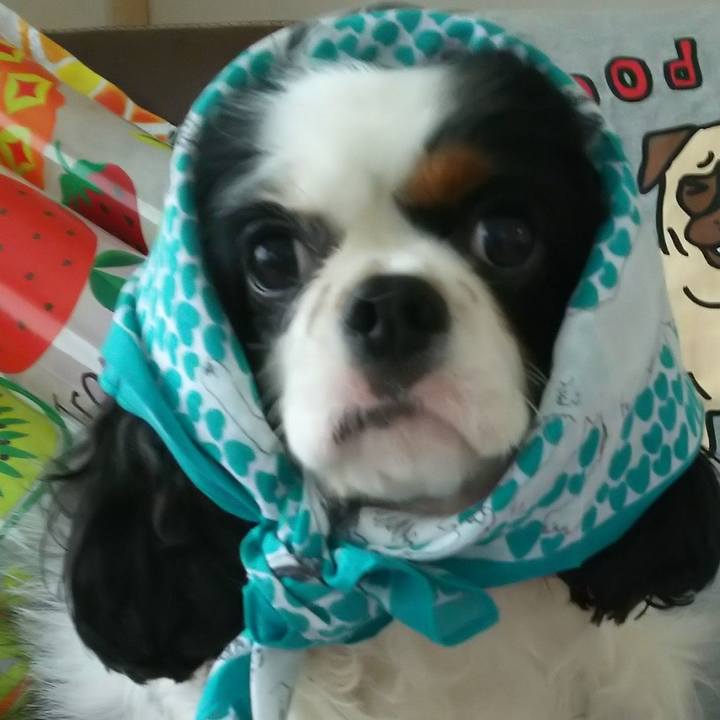 8048a547 7ac6 45a7 a03e c41651dc294f 1558852459402