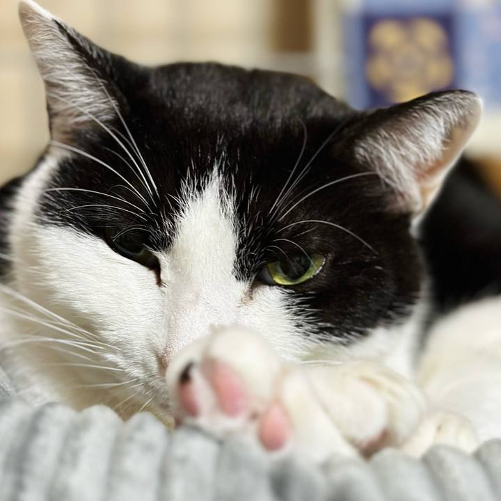 80496282 9348 4b8c a301 bc1cdda55776 1710552701199