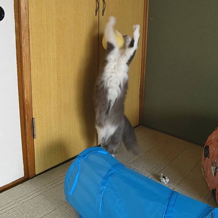 804964f3 24d9 4635 8cd4 25c51627feae 1579415151913