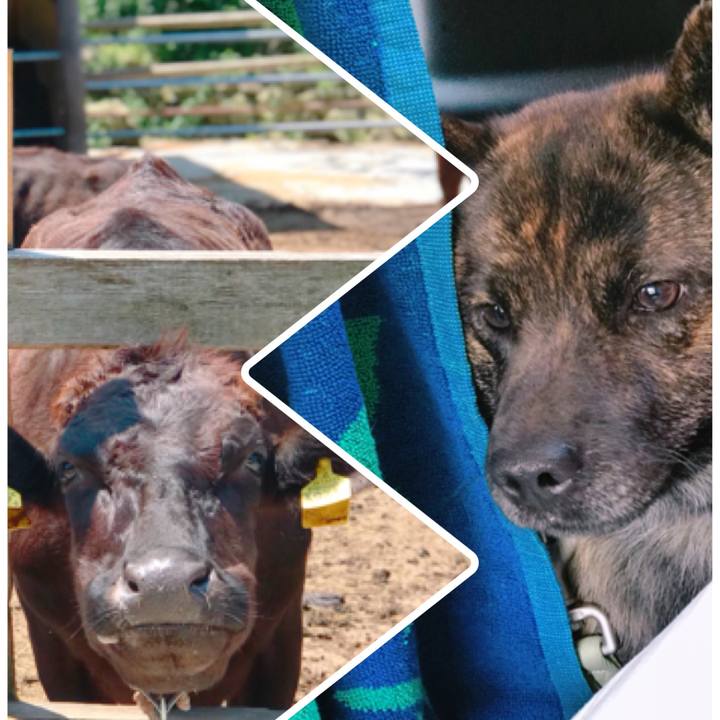 80496ec2 d61d 4508 a7f5 e164945b7d98 1528006439515